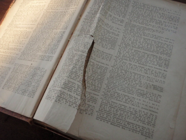 BIBLIA se on koko PYHÄ RAAMATTU. v,1886 3